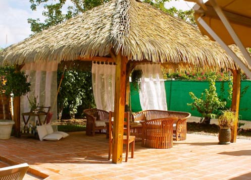 Palmex-thatch-roofing Discover Thatch Roofing