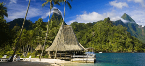 Amazing Thatch Roofs
