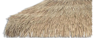 Palm Leaves Thatch