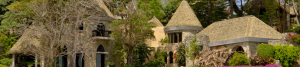 Thatch roof rediscovered