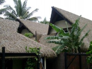 Thatch from Cook Island