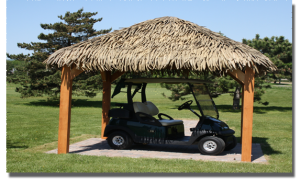 Palmex Thatch Roof